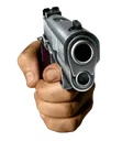 Gun