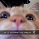 P_catlurk Discord emoji