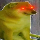 wokecheems wokecheems