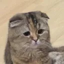 sad sad