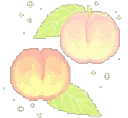 peaches peaches