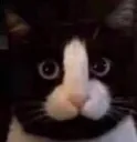 richard