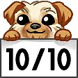 1010 1010
