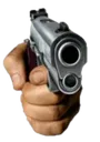 guninverted