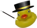 duckinhat