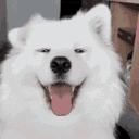 Happydoggo happydoggo Discord Emoji