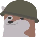 colonialdoge