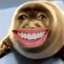 thehappyseal thehappyseal
