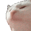Cat Discord emoji