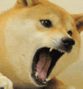 Doge Angry Discord Emoji