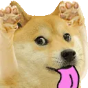 doge_bhakkk