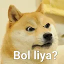 doge_bolliya Discord Emoji