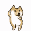 doge_dancee Discord Emoji