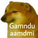 doge_gaamdu