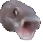 pogfish