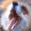 AAAAAAAAA