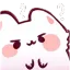 confusedcat