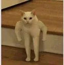 kitty_mountain