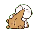 bear_nom bear_nom