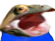 peepoHype