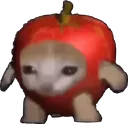 applecat