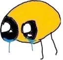 sniffle