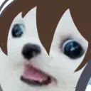 kkdogge