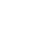 jstinBrudis