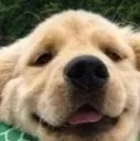 D_
