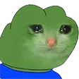 sadcat