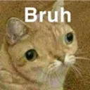 bruhcat