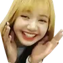 lisaehee