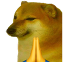 maafi