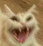 HAHAHAHAHAAH Discord Emoji