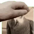 petthenoah