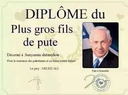 diplomefdp