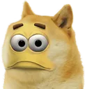 dogelook
