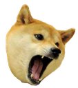 doge_attac_ud