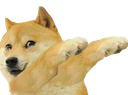 doge_dab_ud
