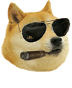doge_cool_ud