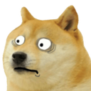 doge_shocked_ud