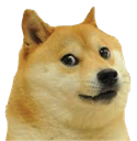 doge_uncomfortable_ud