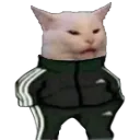 Slavcat Discord Emoji