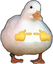 shy_duck