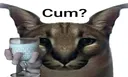 cum