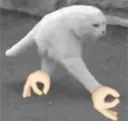 walkingcat