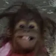 smileMoneky smileMoneky