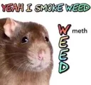 weed