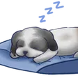 zozeebStitchSleep zozeebStitchSleep