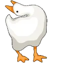 Honk